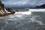 Image of KAKA POINT CAMPING GROUND - Catlins Coast